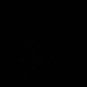 Meet your Posher, Madelyn